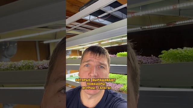 Фитосветильники для растений