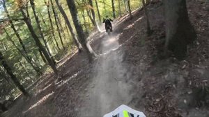 Последний богатырь 2024 г. 2 место в бронзе