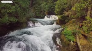 #Islam#Quran#AshShuara#ٌMinshawiy#Коран#АшШуараъ#СамыеКрасивыеМеста#Relaxation#4кВиде#6часть#