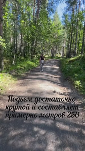 Карелия.город Медвежьегорск. Военно-исторический музей Кархумяки