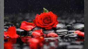 Безответная любовь