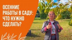 КАКИЕ ОСЕННИЕ РАБОТЫ НУЖНО ПРОВЕСТИ В СВОЕМ САДУ?