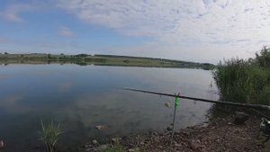 Рыбалка при ИЗВЕСТКОВАНИИ панфиловского платного водоёма