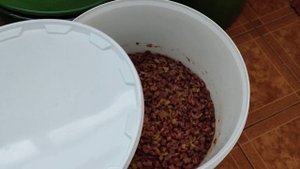 Моё домашнее виноделие. 17.09.21. Татьяна Китаева, Воронеж.