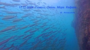 17.11.2024. Симеиз. Осень. Море. Кефаль... 4К.