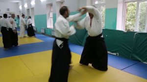 2015 International Aiki Peace Week