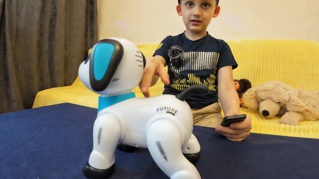 HappyDogwithME olliwonder