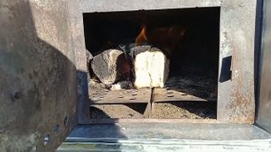 В лес на газель-доме