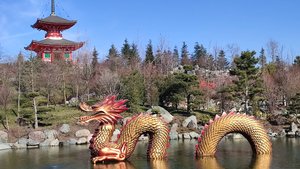 Краснодар. Японский сад в парке Галицкого в феврале 2024