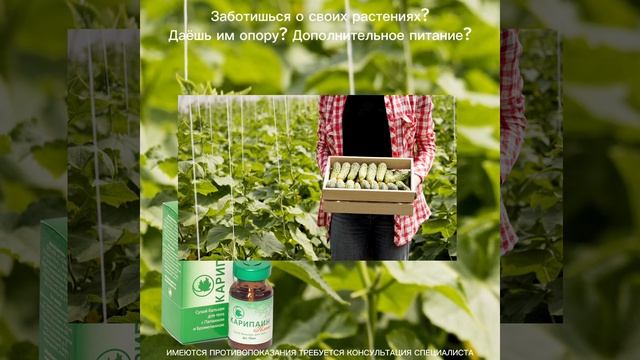 02. Сухой бальзам Плюс