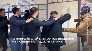 12 мигрантов задержали полицейские во время ночного рейда