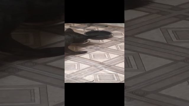 VID_20241119_214101.mp4 смотреть онлайн