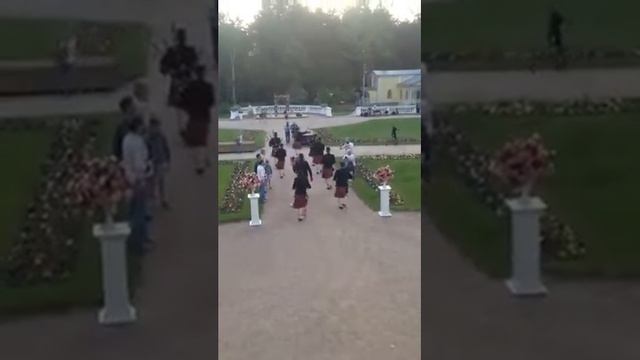 Ирландская музыка на свадебную церемонию