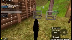 вольчя  жизнь