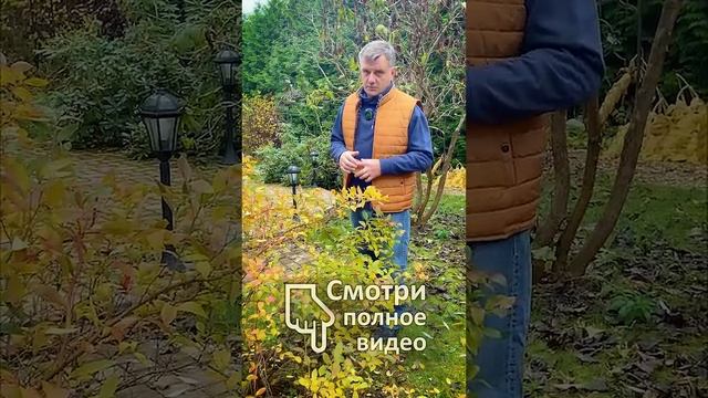 Солому с полей в огород МОЖНО!