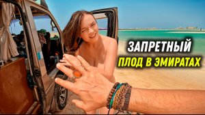 #48 У всех на виду у моря! Русские совсем без тормозов. Приключения Vanlife в ОАЭ!