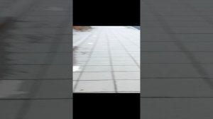 зоопарк в Екатеринбурге 2