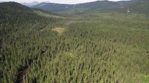 Походная рыбалка на реке, природа с коптера.