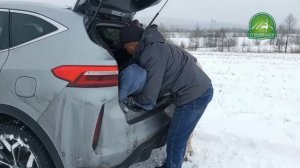 Помогли животному вернуться в естественную среду обитания.