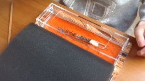 Муравьиная ферма antplanet стандарт обзор + переселение