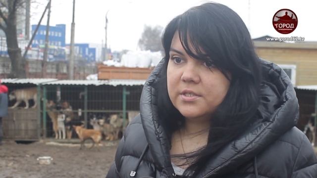 Кадры не для слабонервных