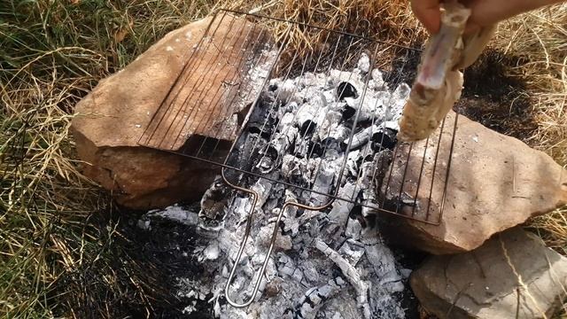 РОЮ ШТОЛЬНЮ ЗОЛОТАЯ ЖИЛА