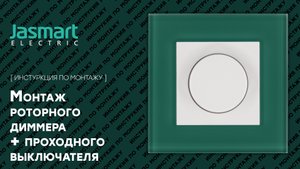 Роторный диммер с выключателем. Подключение