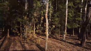 Коттеджный поселок "Золотые пески"