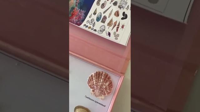 Биология кабинеті мен зертханасы смотреть онлайн