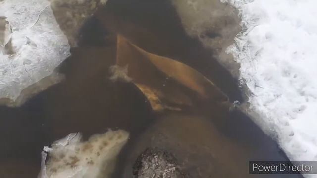 день 2-ой,экспедиция на льду смотреть онлайн