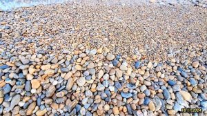 5-День.18.11.2024.Хонда Фрид Спайк на заказ. Владивосток Челябинск.