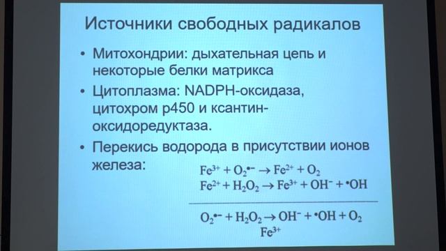 Фенюк Б. А. - Геронтология - 6. Молекулярные механизмы старения. Часть 1