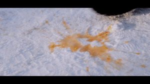 «Жизнь в твоих руках!» (12+)