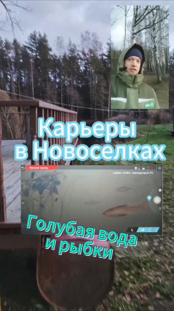 Подводный дрон на карьерах в Новоселках (Левашово, Ленинградская область). Голубая вода и рыбки