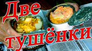 Тушёнка две солдатские банки с разным вкусом