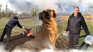 Незабываемые осенние пейзажи! Природа и работа в деревне.