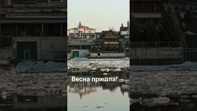 Ледоход на Берди. Весна пришла!