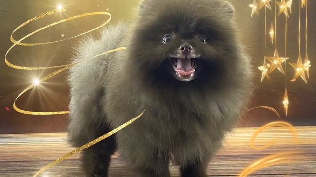 От Эстер