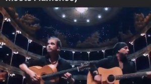 40 Fingers - Für Elise (Beethoven meets Flamenco)