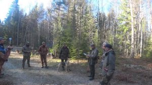 Русская гончая Побудка (Стрелка)(2,5 года).13-е межрегиональные состязания "Мемориал Р.И. Шияна"2024