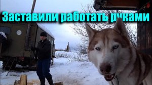 Пошаманили и она ожила.