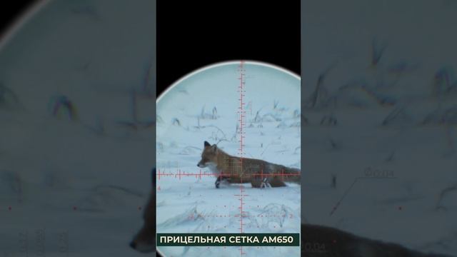 Прицел 6x50-56 FFP с диаметром трубки 34 мм