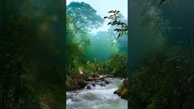 🚪 Какой-то замкнутый круг! Закрыл задачу = открыл задачу.. 😁💪🏻