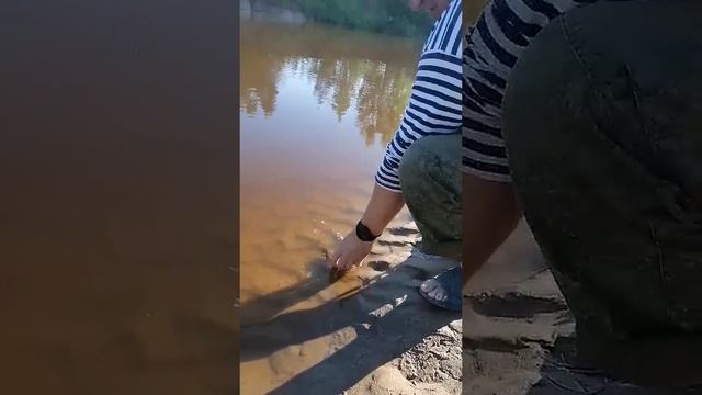 Полосатый и усатый