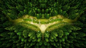 Эколог, как слабое звено общества