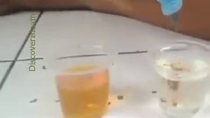 Вода зам-зам