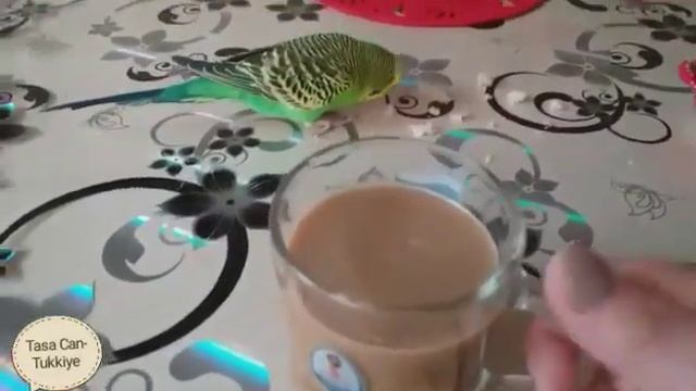 Турецкая жена🤗✅ Турецкий муж завтракает✅чуть не задохнулась😱✅ Турция 🇹🇷
