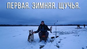 Жерлица на ЩУКУ. Первая зимняя рыбалка. Отличное открытие сезона.