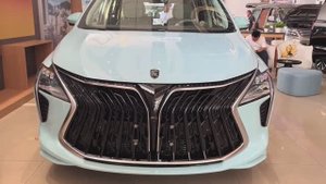 Dongfeng Forthing Yacht 2022