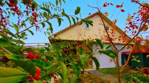 Дом "заходи и живи", до центра Краснодара без пробок - 20 минут